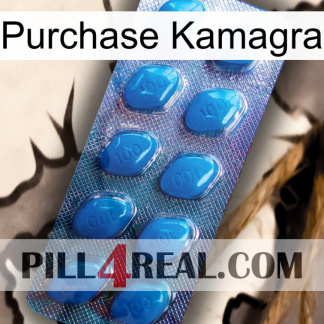 Purchase Kamagra viagra1